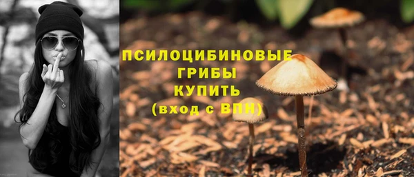 сатива Весьегонск