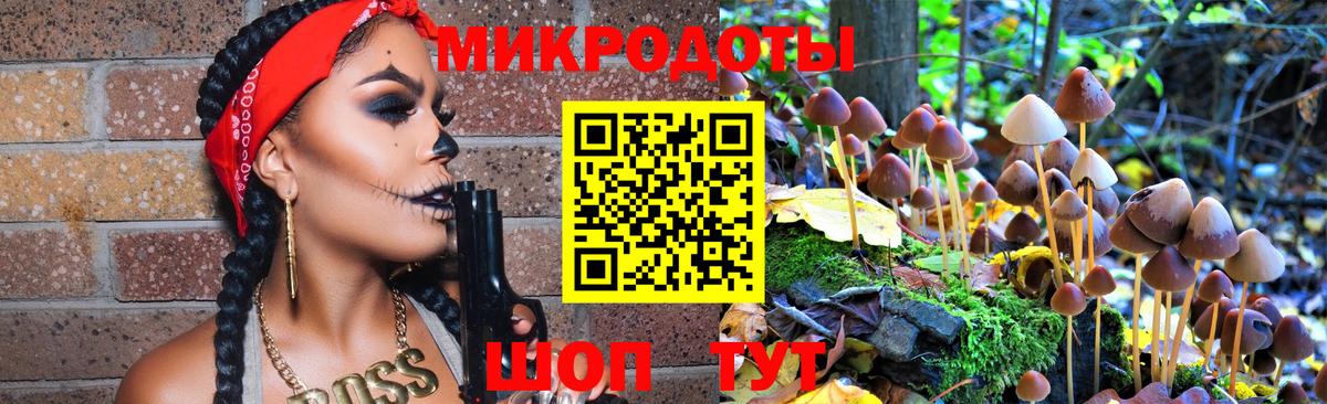 Псилоцибиновые грибы Cubensis Старая Купавна